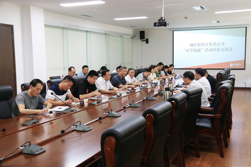 城投集團召開開發類公司“比學趕超”活動座談交流會議