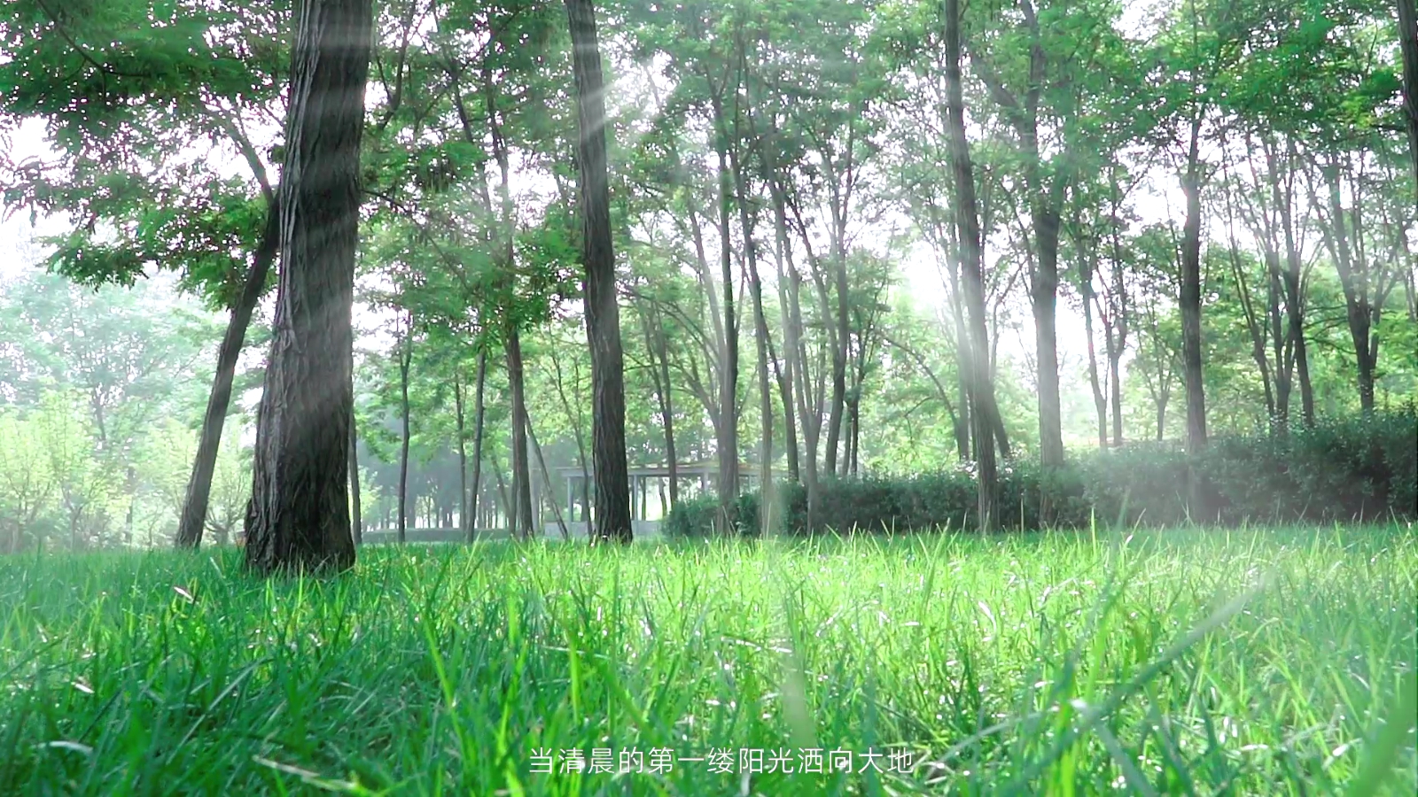 《安全生產法》公益宣貫片