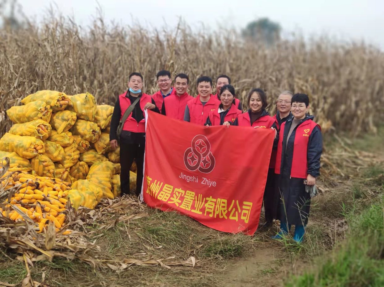 晶實置業公司開展助農搶收志愿服務活動