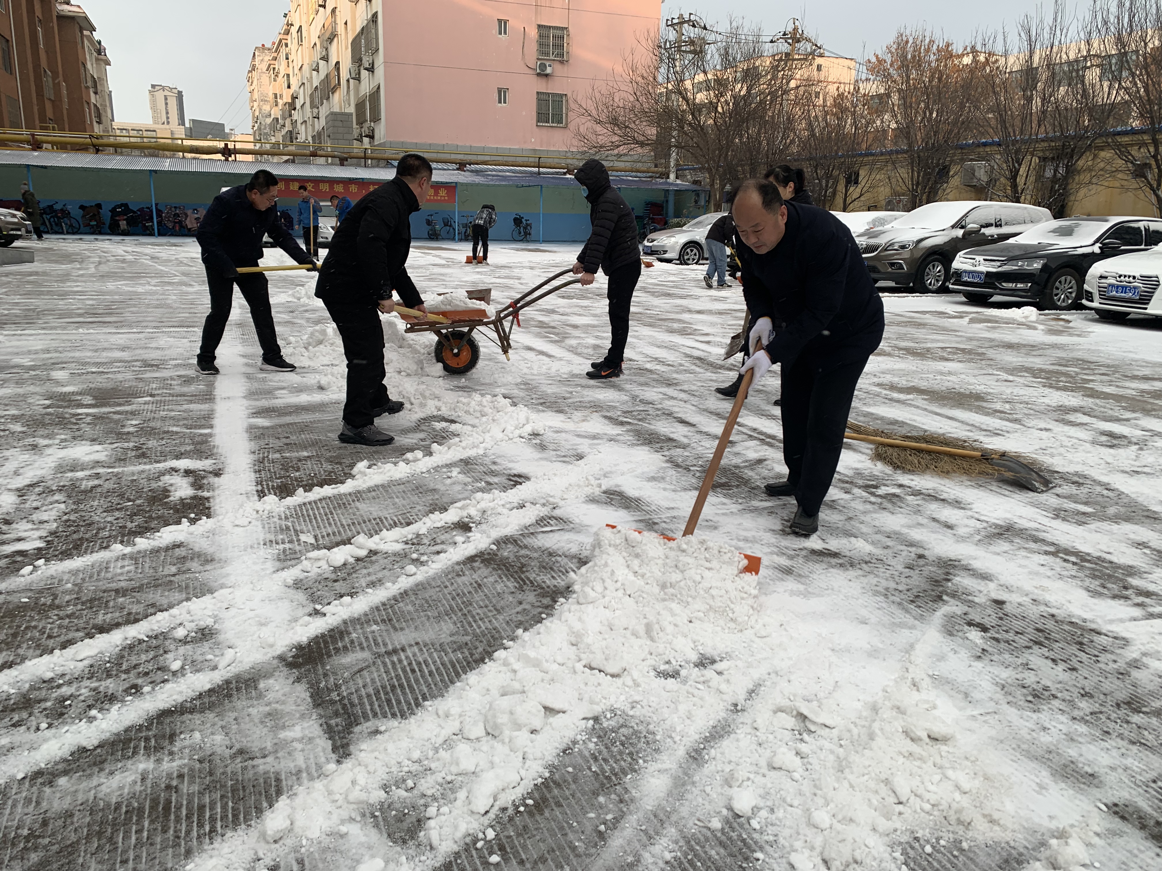 大雪覆州城  眾人齊參與——為創城增光添彩
