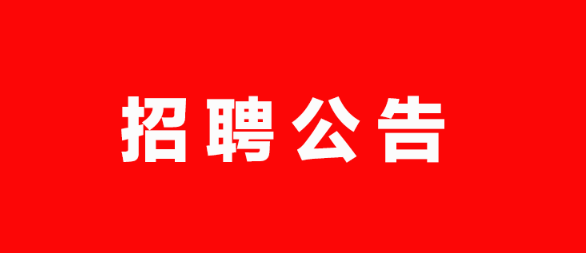 德州市城市建設投資發展集團有限公司2023年權屬公司公開招聘工作人員公告